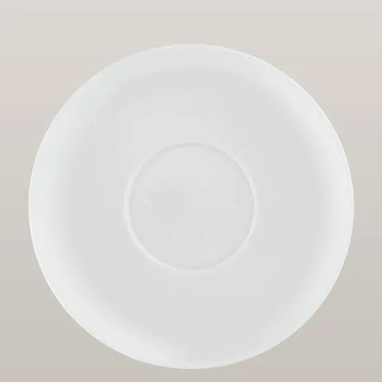DINNER PLATE - RAK